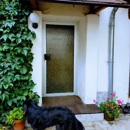 Am Moorteich * Thale