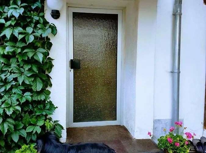 Am Moorteich * Thale